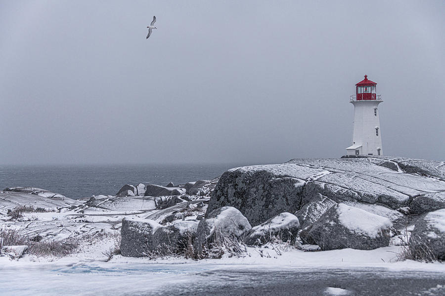 Lighthouse in Winter Photograph by Patrick Boening