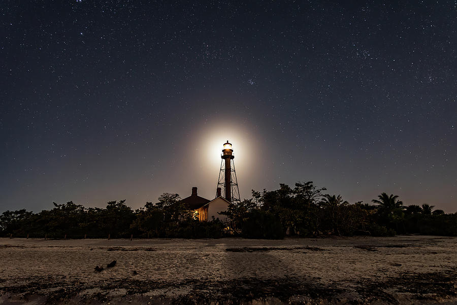 Tree Photograph - Lighthouse Moon by Edward Saternus