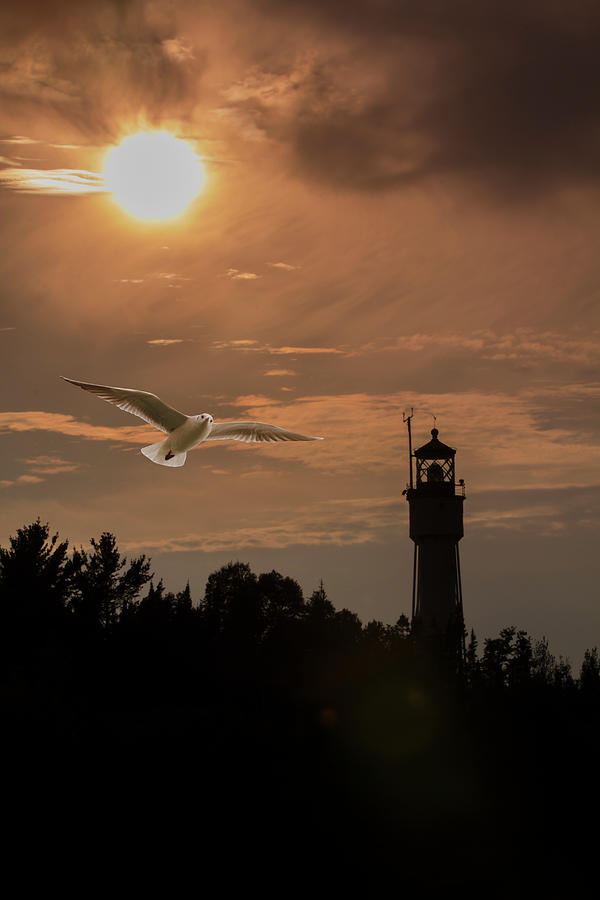 Lighthouse Silhouette - Vertical Photograph by Patti Deters