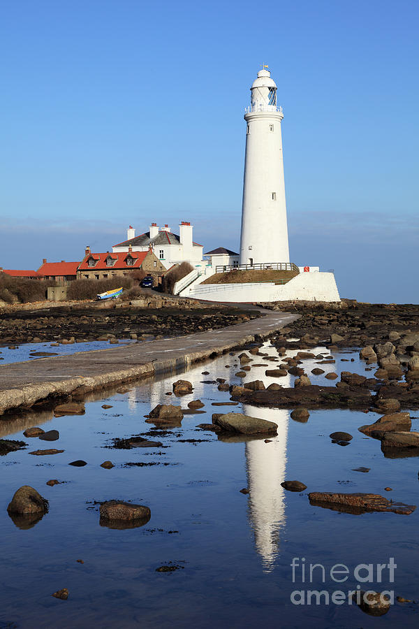 Lighthouse St Marys Island Photograph by Bryan Attewell