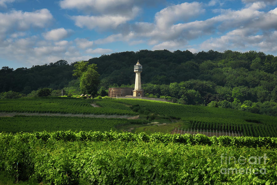 Lighthouse Surrounded By Vineyards Photograph
