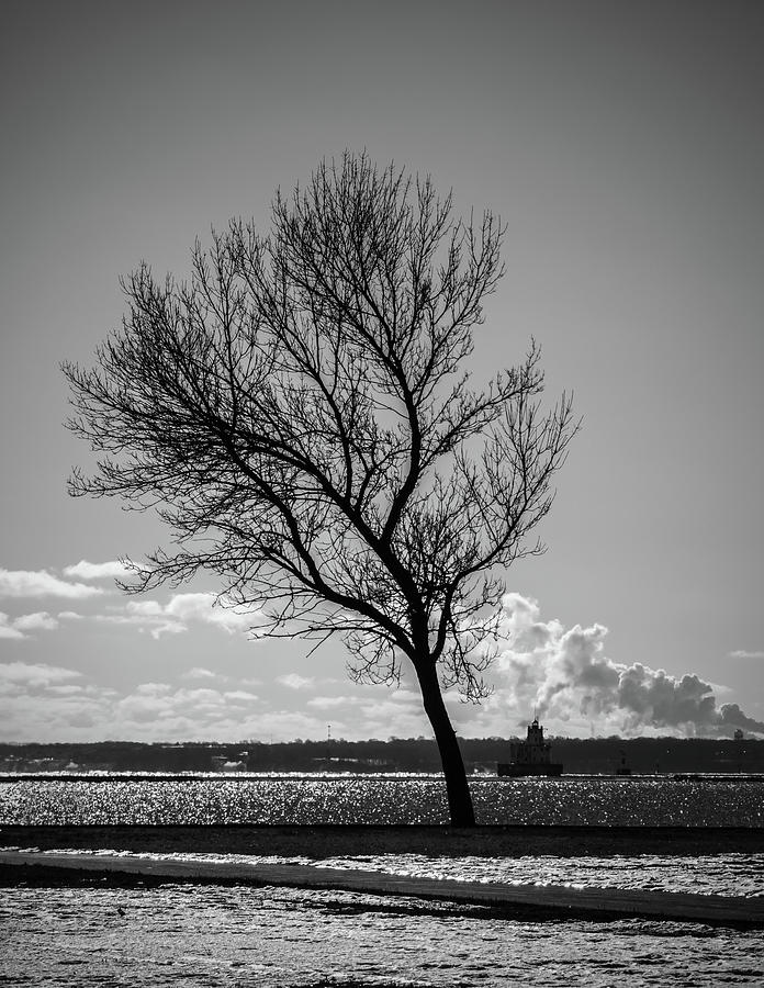 LIGHTHOUSE TREE - bw Photograph by Steve Bell - Fine Art America