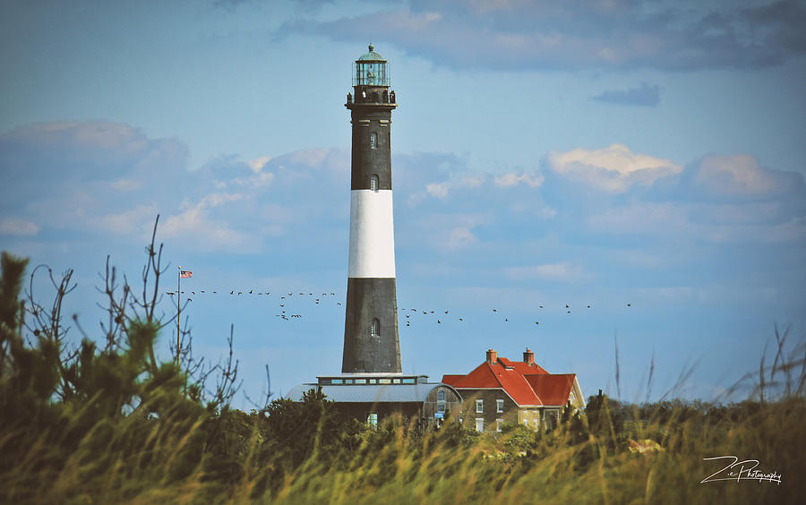 Lighthouse with Birds Photograph by Ingrid Zagers