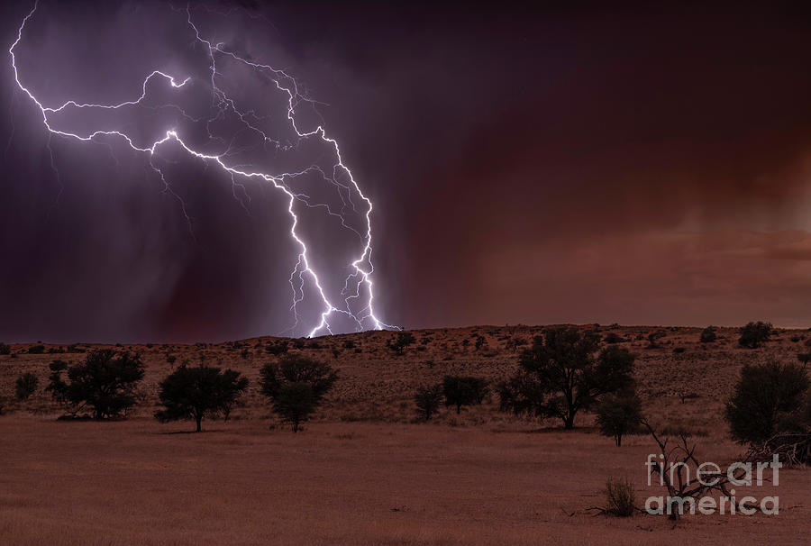 Kgalagadi Transfrontier Park Photograph - Lighting strike in the Kalahari by Tony Camacho