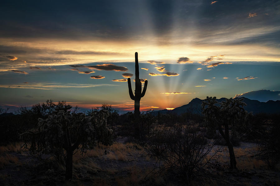 Lighting Up The Desert Skies Photograph by Saija Lehtonen - Fine Art ...