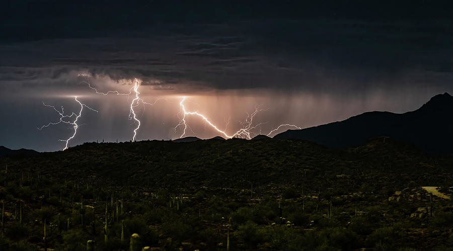 Lighting Up The Sonoran Nights  Photograph by Saija Lehtonen