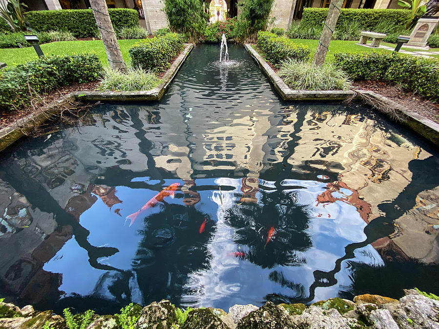 Lightner Museum Reflecting Pond, St. Augustine, Florida Photograph by Dawna Moore Photography