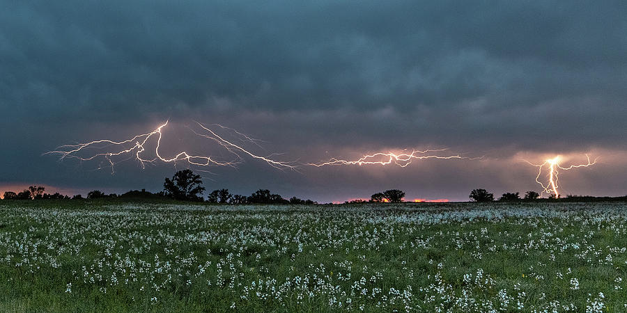Lightning across Busch Photograph by Joe Kopp