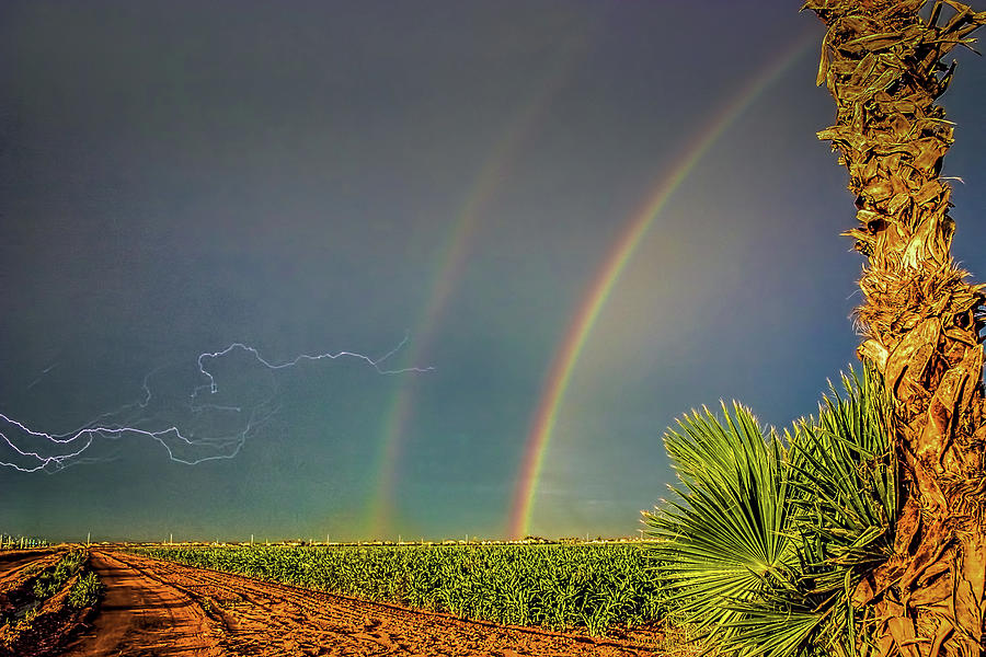 Lightning and Rainbows 48x Photograph by Randy Jackson