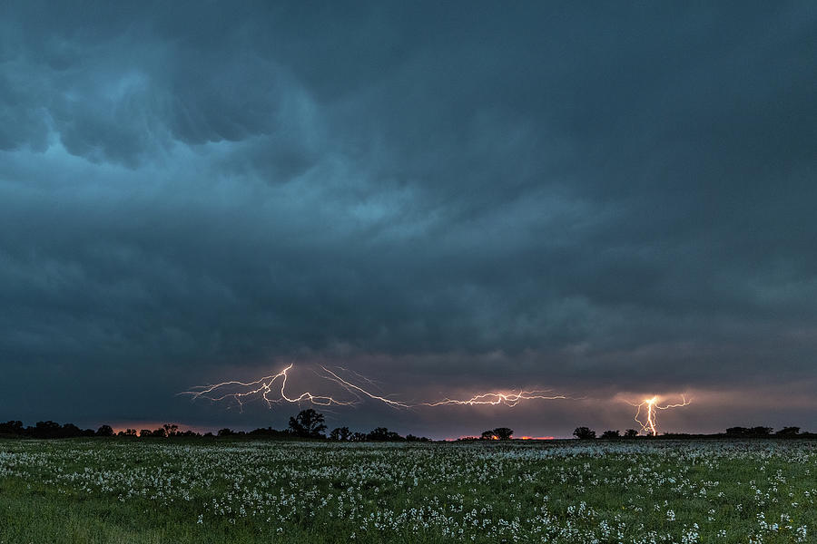 Lightning at Busch Photograph by Joe Kopp