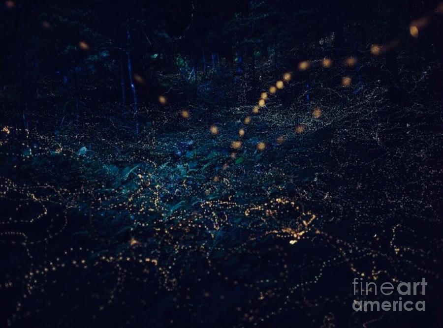 Firefly Maps Mixed Media by Alejandra Flores - Fine Art America
