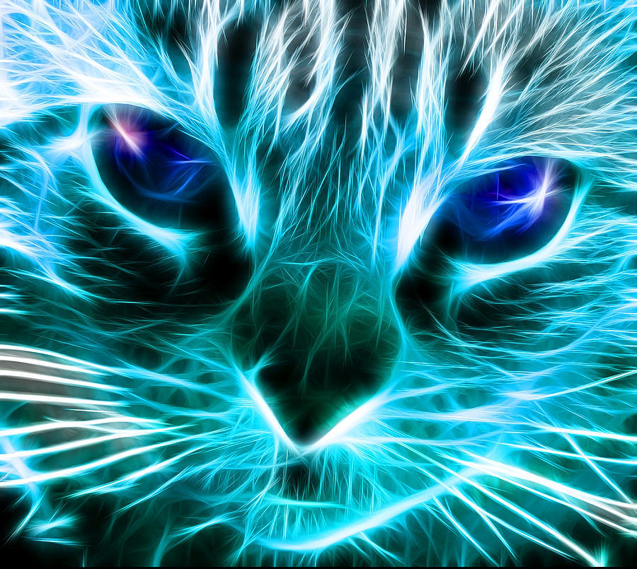 Lightning Cat Poster music Painting by Matilda Roxanne - Fine Art America