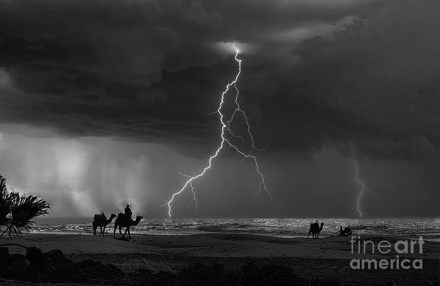 Lightning Essaouria Morocco Camels Black White Awesome  Photograph by Chuck Kuhn