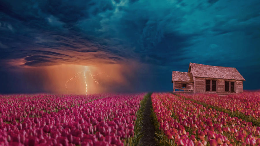 Flower Digital Art - Lightning Field by Ally White