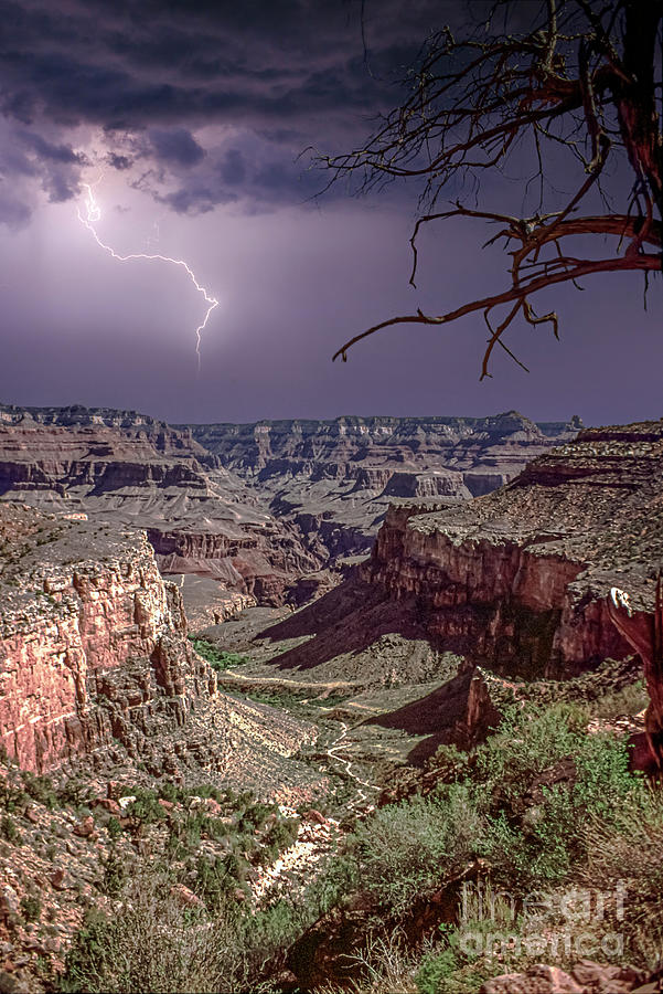 Lightning Grand Canyon Vertical Photograph by David Zanzinger