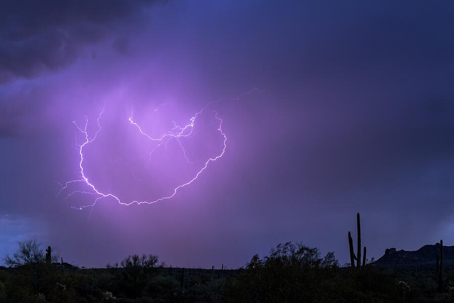 Lightning Lasso Photograph by Rick Furmanek