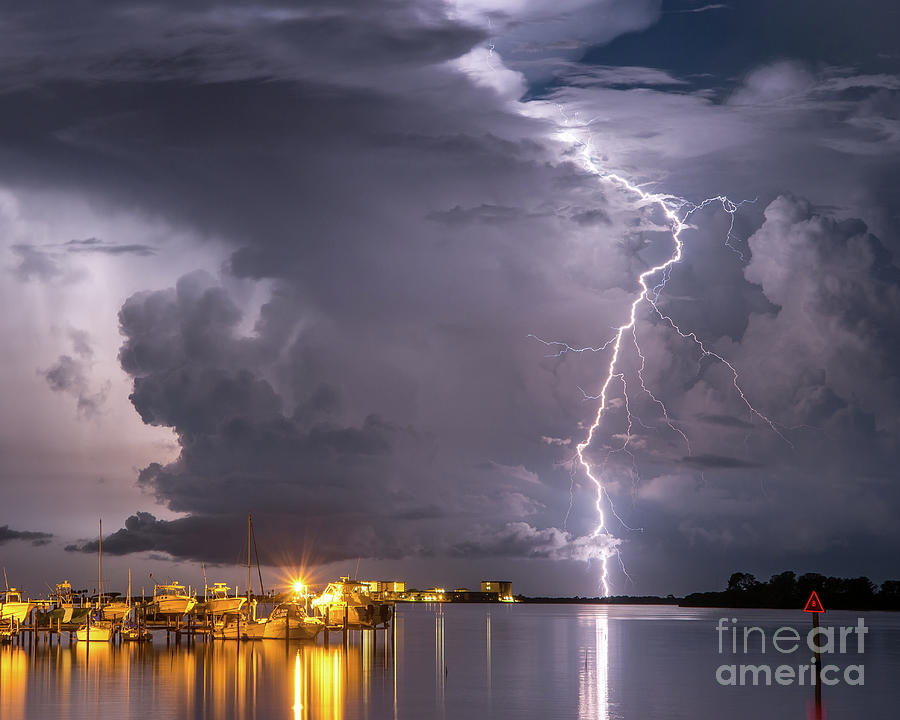 Lightning Strikes Photograph by Stephen Whalen
