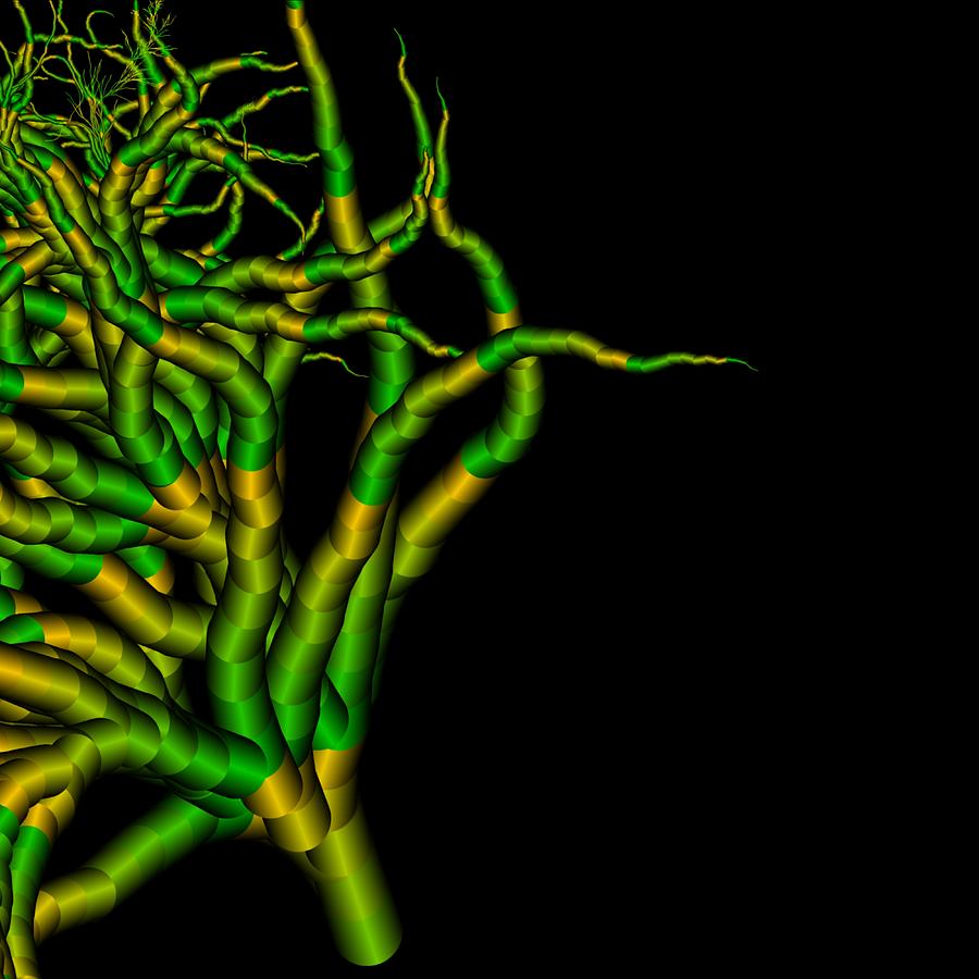 Lightning tree pattern. 13 Digital Art by Master Forester Fine Art