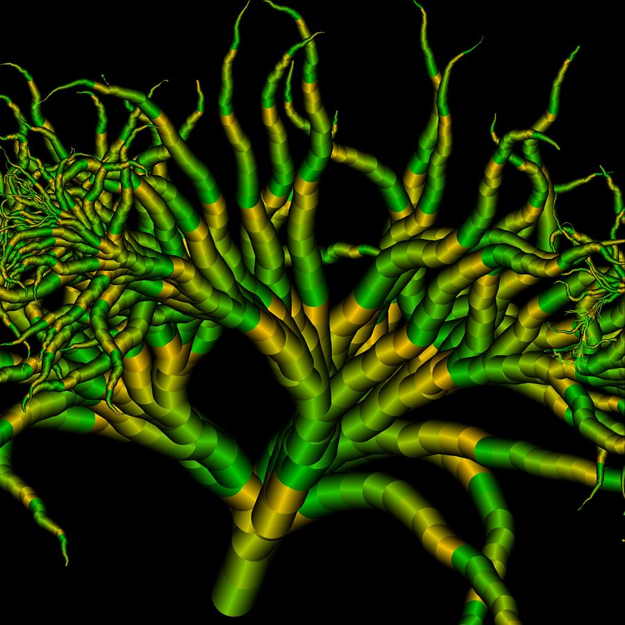 Lightning tree pattern. 14 Digital Art by Master Forester Fine Art