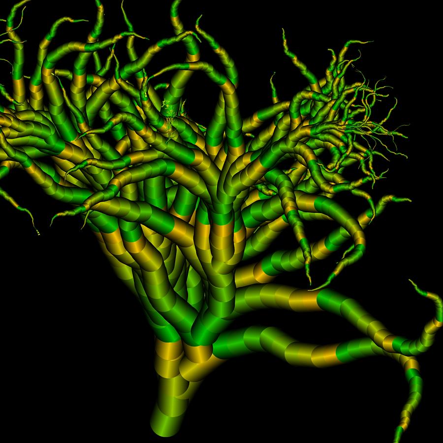 Lightning tree pattern. 21 Digital Art by Master Forester - Fine Art ...