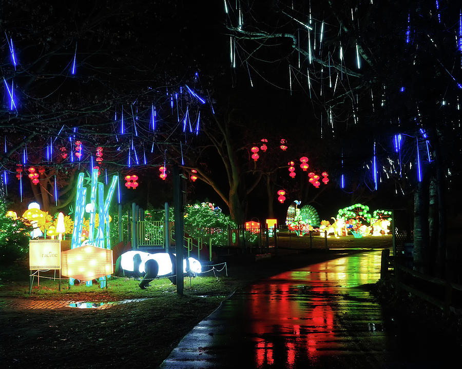 Lights at the Zoo Photograph by Scott Olsen