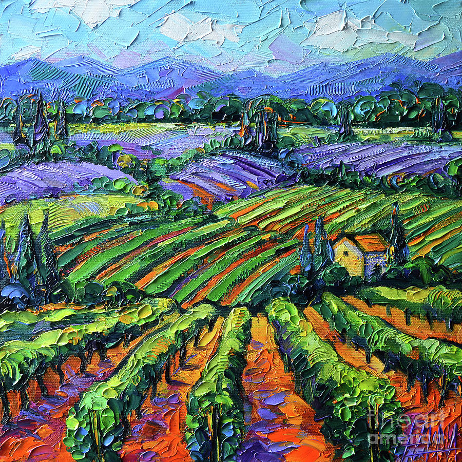 Impressionism Painting - LIGHTS OF PROVENCE - VINEYARDS AND LAVENDER oil painting Mona Edulesco by Mona Edulesco