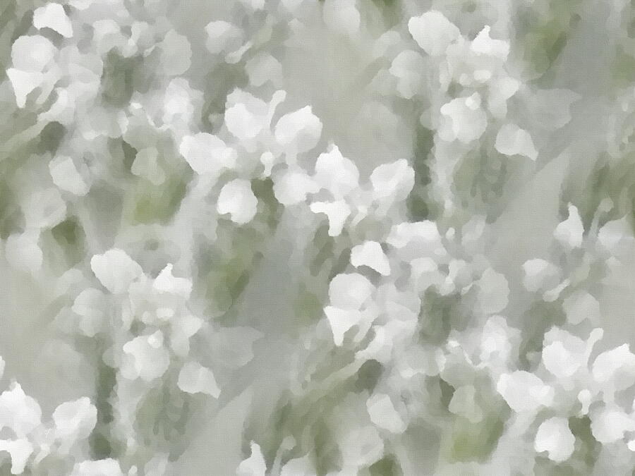 Like Babys Breath White Wildflowers Botanical Impressionism   Digital Art by Shelli Fitzpatrick