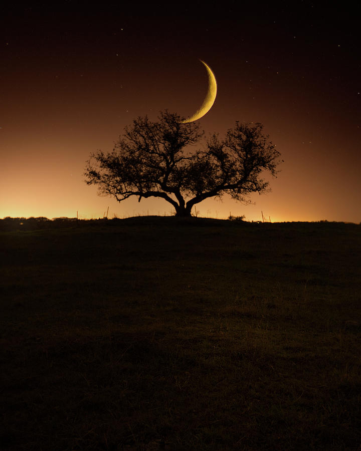Like Moonlight Photograph by Aaron J Groen