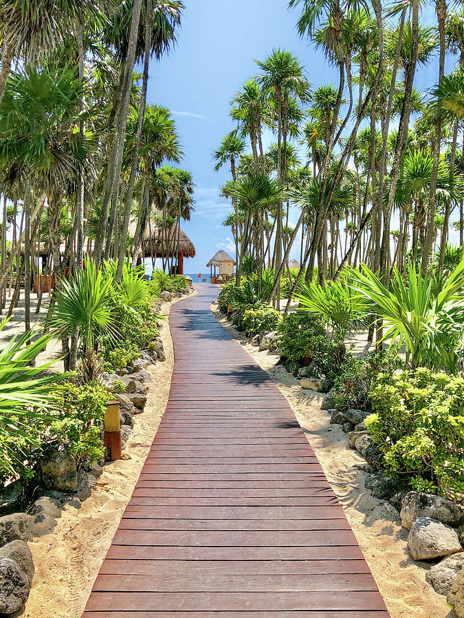 Like to go for a Walk? Photograph by Ryan Higginbotham Like to go for a Walk? Photograph by Ryan Higginbotham