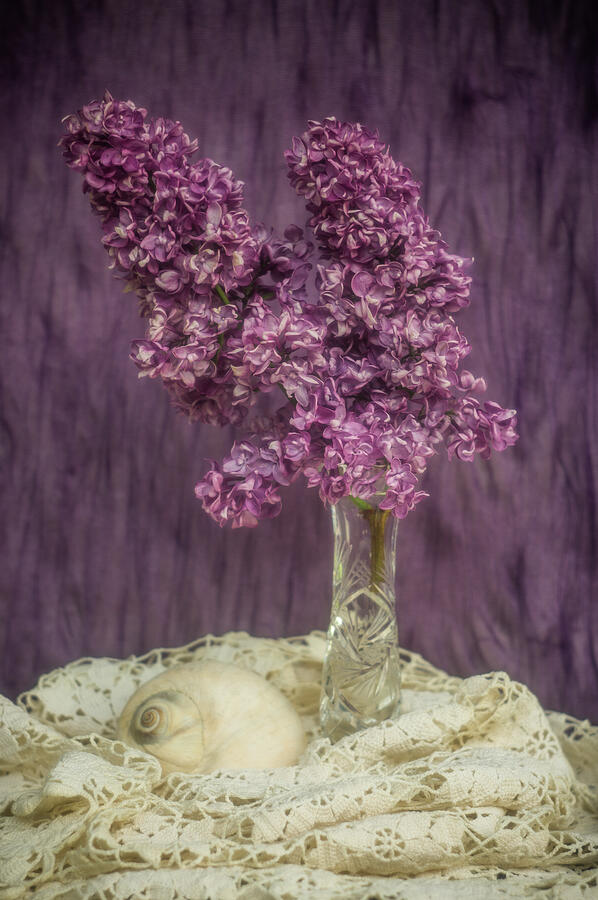 Lilacs and Lace Photograph by Marilyn Wilson