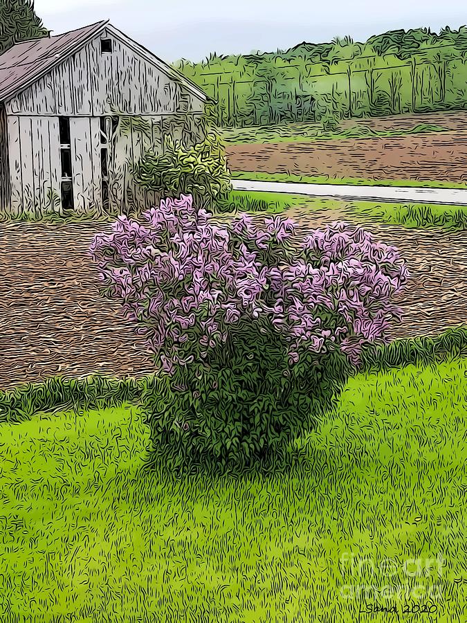 Lilac Barn Digital Art by Lorraine Sanderson