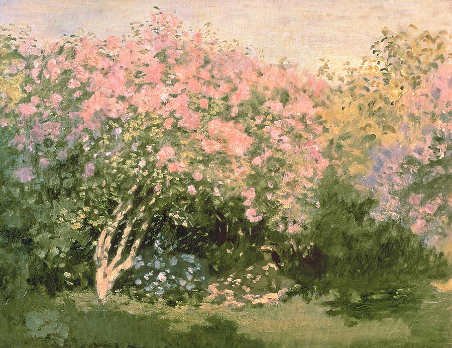 Claude Monet Painting - Lilac in the Sun  by Claude Monet
