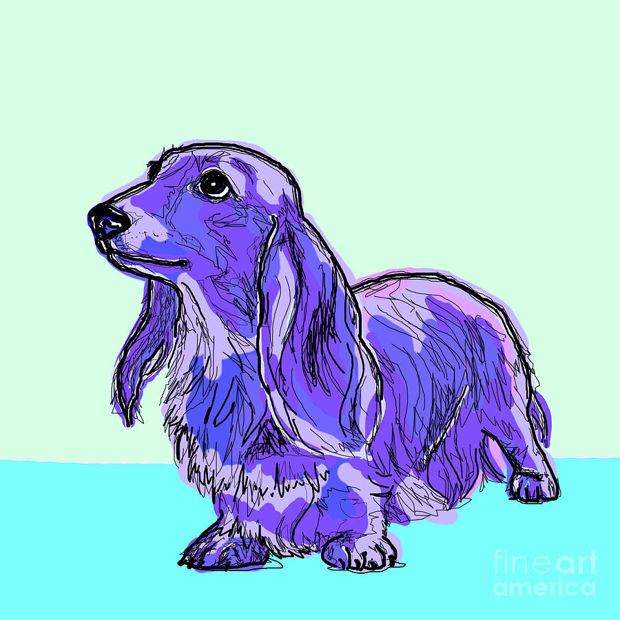 Lilac dachshund store