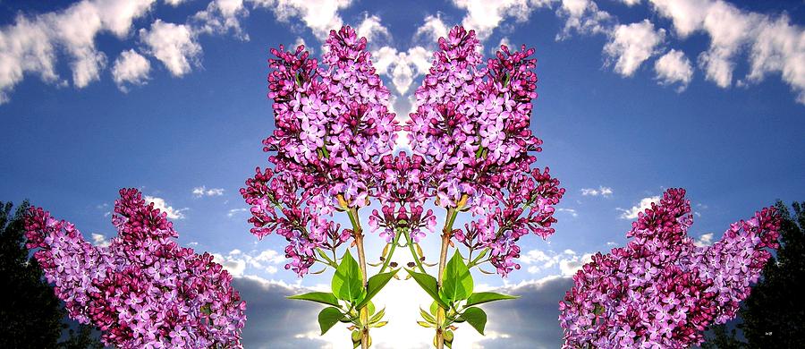 Lilac Radiance Digital Art by Will Borden