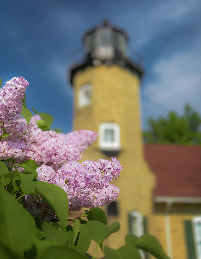 Lilacs And Lighthouse Photograph by Dan Sproul