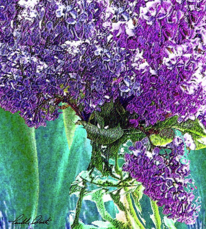 Lilacs In A Vase Photograph