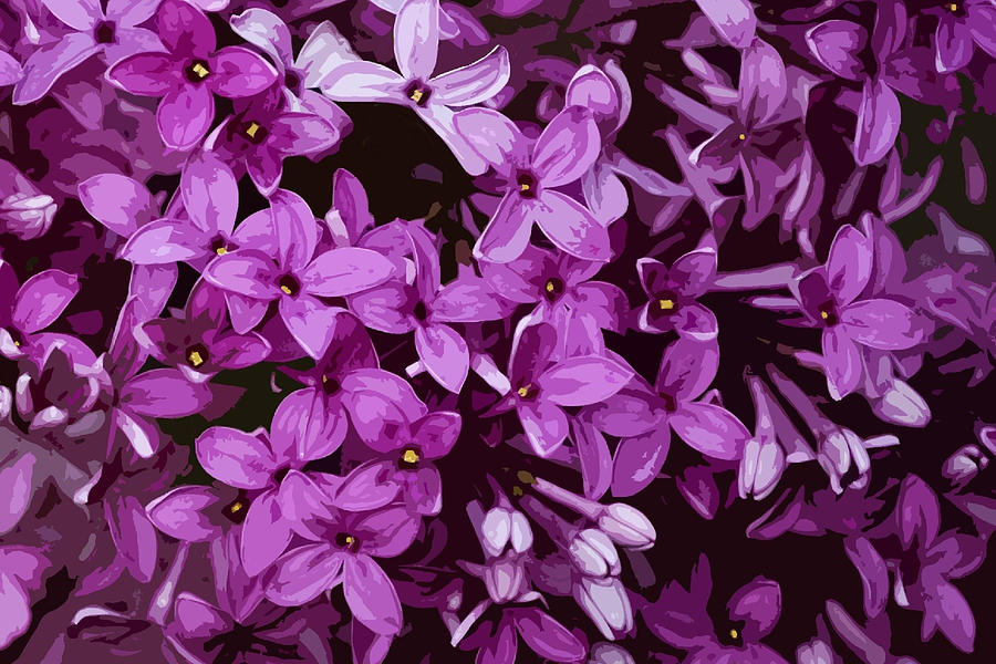 Lilacs Mixed Media by Judy Link Cuddehe