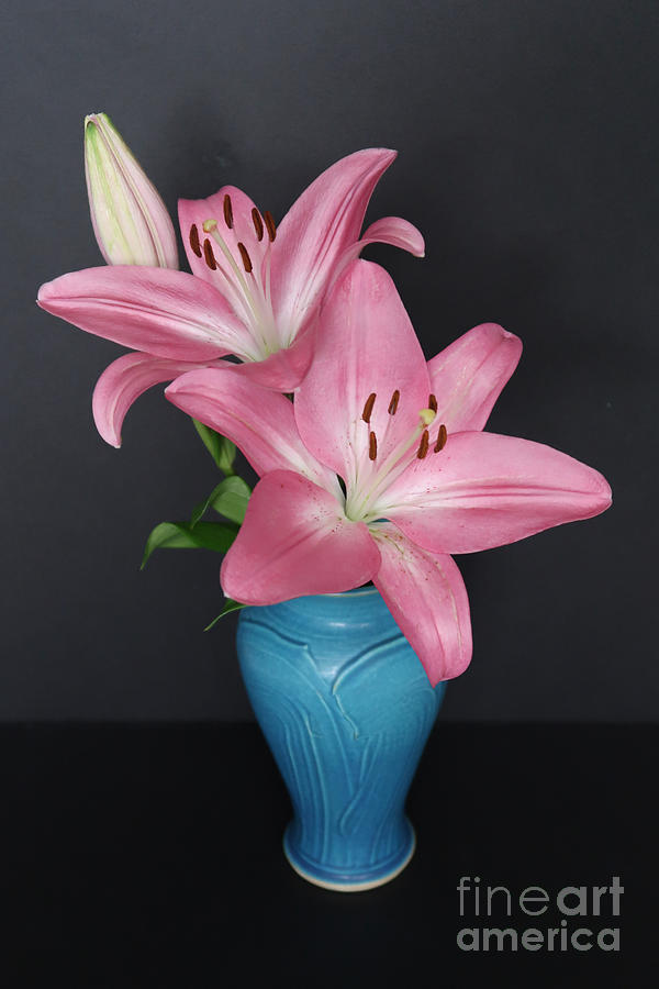 Lilies and Bud Photograph by Ann Horn