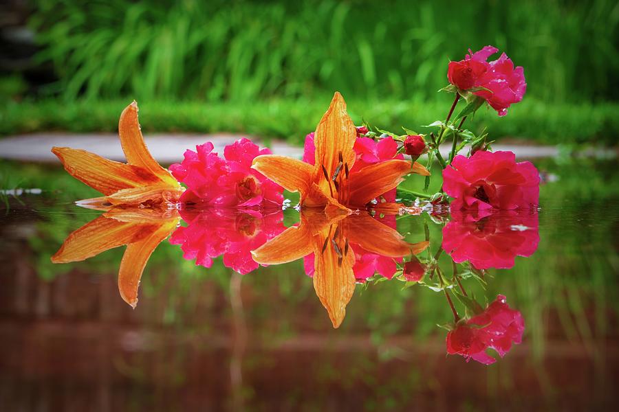 Lilies and Roses Reflection Photograph by Jason Fink