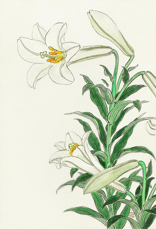 Lilies  by Ohara Koson  Original from The Rijksmuseum Painting by MotionAge Designs