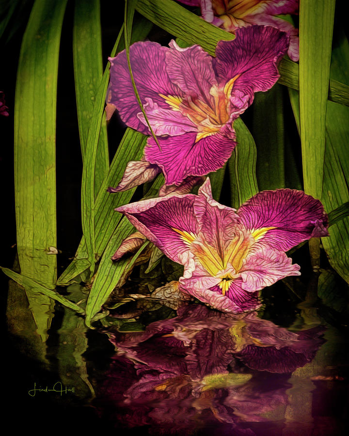 Flower Photograph - Lilies by the Pond by Linda Lee Hall