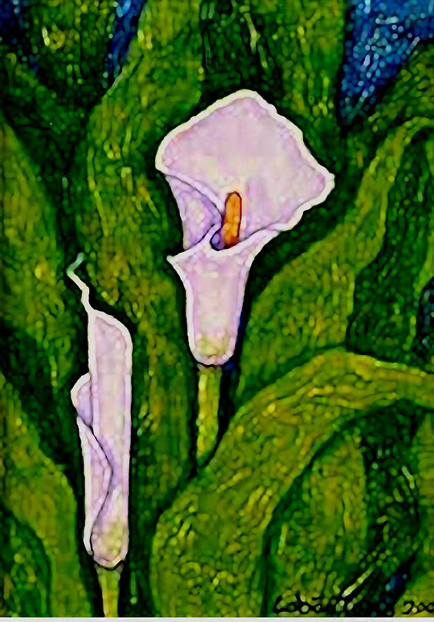 Flower Painting - Lilies callas  by Madalena Lobao-Tello
