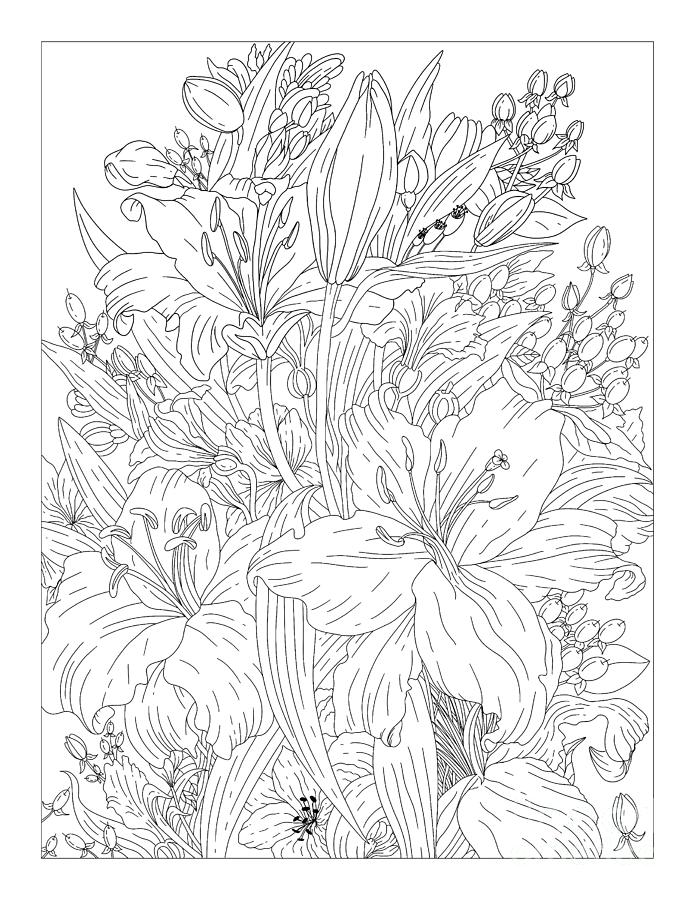 https://images.fineartamerica.com/images/artworkimages/mediumlarge/3/lilies-coloring-page-lily-bouquet-art-lisa-brando.jpg