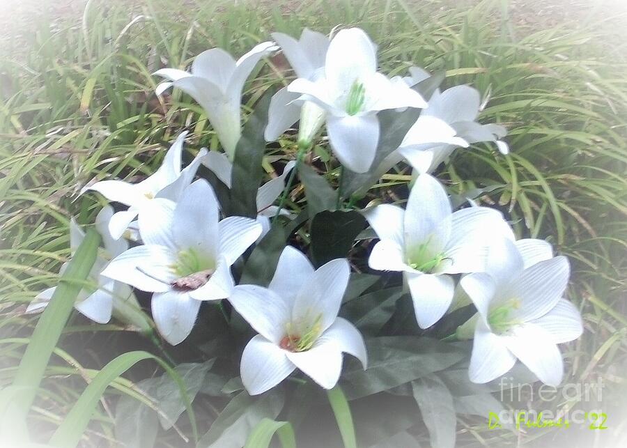 Lilies Photograph by Denise F Fulmer