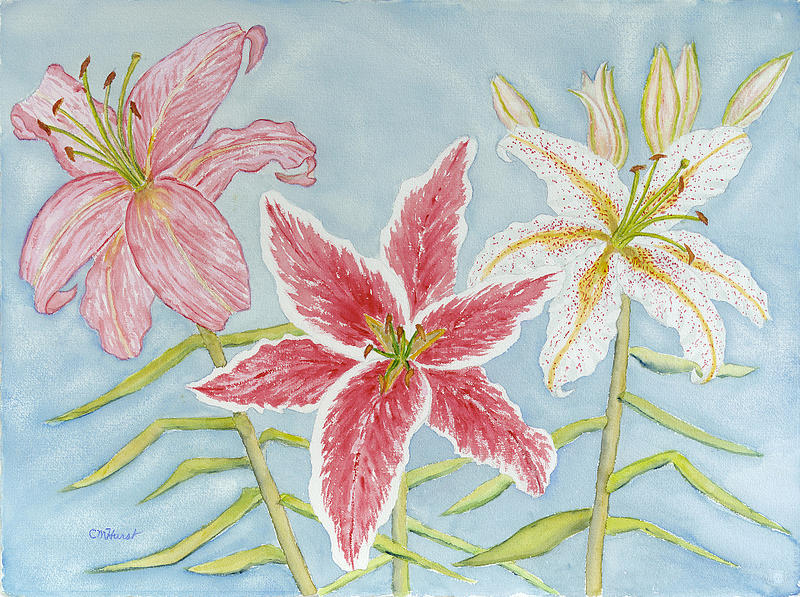 Lilies I Painting by Collette Hurst - Fine Art America