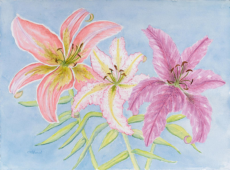Lilies II Painting by Collette Hurst