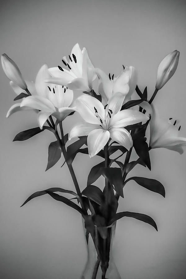 Lilies in Black and White Photograph by Roberta Byram