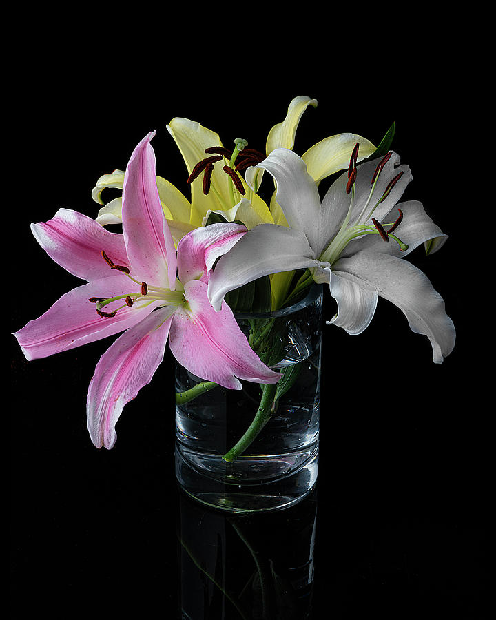 Lilies In Glass Vase Art Photo Photograph