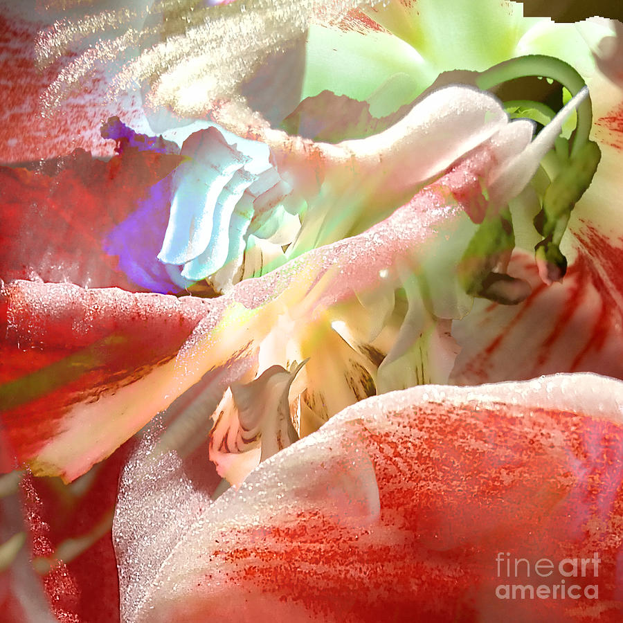 Lilies In The Sky Digital Art by Scott S Baker