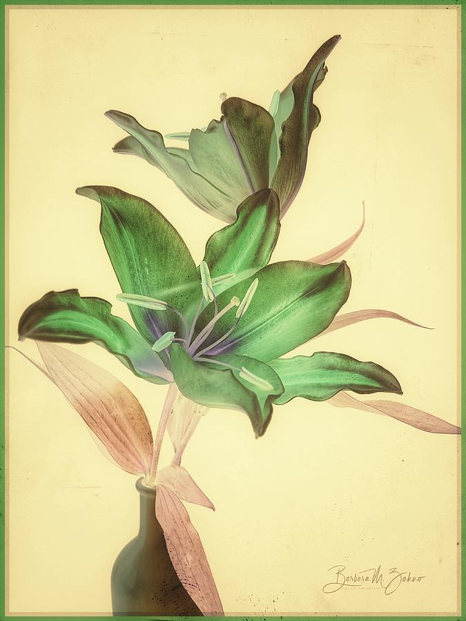 Lilies in Watercolor - Photo Painting Photograph by Barbara Zahno